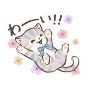 ヒメ日記 2026/01/23 13:33 投稿 カノン ヴィーナス(金津園)