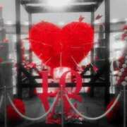 ヒメ日記 2026/02/14 19:36 投稿 カノン ヴィーナス(金津園)