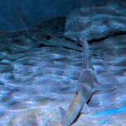 ヒメ日記 2026/02/21 12:33 投稿 カノン ヴィーナス(金津園)