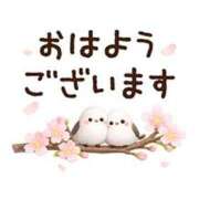 カノン 🩷感謝感激🩷😭😭😭 ヴィーナス(金津園)