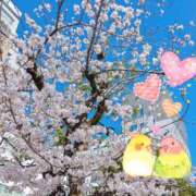 ヒメ日記 2026/03/27 11:42 投稿 カノン ヴィーナス(金津園)