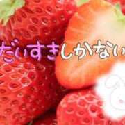 ヒメ日記 2026/03/31 13:42 投稿 カノン ヴィーナス(金津園)