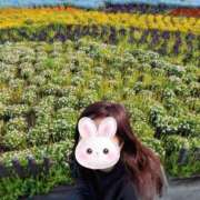 ヒメ日記 2026/04/16 19:30 投稿 カノン ヴィーナス(金津園)