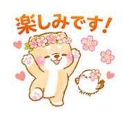 ヒメ日記 2026/04/24 17:48 投稿 カノン ヴィーナス(金津園)