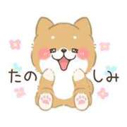 ヒメ日記 2026/06/23 18:33 投稿 カノン ヴィーナス(金津園)