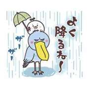 ヒメ日記 2026/10/24 07:41 投稿 カノン ヴィーナス(金津園)