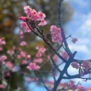 ヒメ日記 2025/03/26 11:37 投稿 ゆうか♪ 本格メンズエステ　　禅～ZEN～