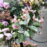 ヒメ日記 2025/04/13 22:17 投稿 ゆうか♪ 本格メンズエステ　　禅～ZEN～