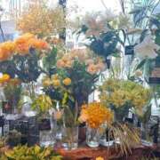 ヒメ日記 2025/10/03 15:57 投稿 ゆうか♪ 本格メンズエステ　　禅～ZEN～