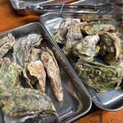 ヒメ日記 2025/02/01 17:01 投稿 ひまわり ぷるるん小町 京橋店