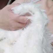 ヒメ日記 2025/03/30 11:46 投稿 ひまわり ぷるるん小町 京橋店