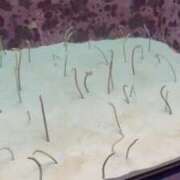 ヒメ日記 2025/04/19 17:49 投稿 ひまわり ぷるるん小町 京橋店