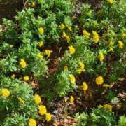 ヒメ日記 2025/10/20 08:35 投稿 なぎ 人妻美人館