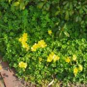 ヒメ日記 2026/02/17 21:42 投稿 なぎ 人妻美人館