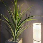 ヒメ日記 2026/02/20 08:47 投稿 なぎ 人妻美人館