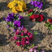 ヒメ日記 2026/02/22 20:59 投稿 なぎ 人妻美人館