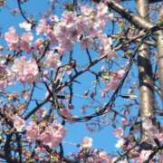 ヒメ日記 2026/02/24 08:48 投稿 なぎ 人妻美人館