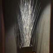 ヒメ日記 2026/02/25 09:21 投稿 なぎ 人妻美人館