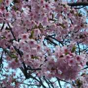 ヒメ日記 2026/03/05 16:46 投稿 なぎ 人妻美人館