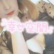 ヒメ日記 2025/06/18 06:42 投稿 カナリア ポニーテール和歌山店