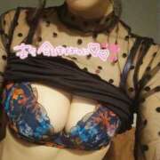 ヒメ日記 2025/07/17 09:42 投稿 カナリア ポニーテール和歌山店