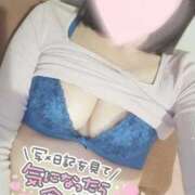 ヒメ日記 2025/10/05 08:02 投稿 カナリア ポニーテール和歌山店