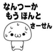 ヒメ日記 2025/10/31 08:21 投稿 カナリア ポニーテール和歌山店