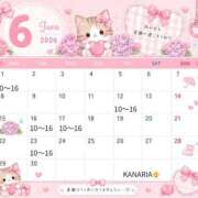 カナリア ６月の予定です❤️ ポニーテール和歌山店