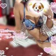 カナリア おはよん♡ ポニーテール和歌山店
