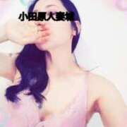 ヒメ日記 2025/03/14 12:04 投稿 あずさ 小田原人妻城