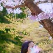 ヒメ日記 2025/04/23 12:18 投稿 あずさ 小田原人妻城