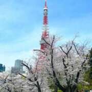 ヒメ日記 2025/04/08 07:53 投稿 あこ 川越ぷよステーション