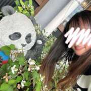 ヒメ日記 2025/06/05 09:48 投稿 あこ 川越ぷよステーション