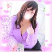 ヒメ日記 2025/09/09 21:33 投稿 あこ 川越ぷよステーション