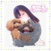 ヒメ日記 2026/04/14 20:43 投稿 あこ 川越ぷよステーション