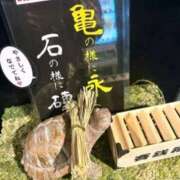 ヒメ日記 2026/04/24 08:18 投稿 あこ 川越ぷよステーション