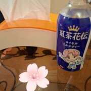 ヒメ日記 2025/03/26 13:04 投稿 松本 ももか La elf（ラ・エルフ）