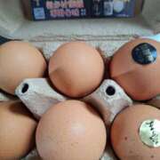 ヒメ日記 2025/06/10 10:53 投稿 松本 ももか La elf（ラ・エルフ）