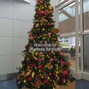 ヒメ日記 2025/11/07 13:03 投稿 松本 ももか La elf（ラ・エルフ）