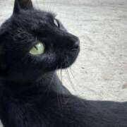 ヒメ日記 2025/08/06 02:40 投稿 ななみ 渋谷角海老