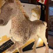 ななみ 2026年スタート㊗️ 渋谷角海老