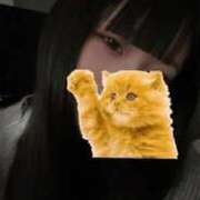 ヒメ日記 2025/11/23 21:33 投稿 れんか 川越ぷよステーション