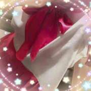 ヒメ日記 2025/01/29 23:54 投稿 ボイン GooGoo ～グーグー～