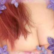 ヒメ日記 2025/10/19 17:19 投稿 ボイン GooGoo ～グーグー～