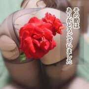 ヒメ日記 2025/04/29 20:43 投稿 ゆうみ 川越ぷよステーション