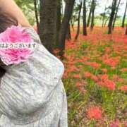 ヒメ日記 2025/09/13 19:26 投稿 ゆうみ 川越ぷよステーション