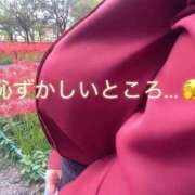 ヒメ日記 2025/10/04 19:58 投稿 ゆうみ 川越ぷよステーション