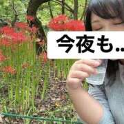 ヒメ日記 2025/10/04 20:03 投稿 ゆうみ 川越ぷよステーション