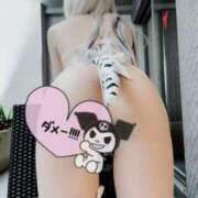 ヒメ日記 2026/03/13 02:59 投稿 やよい にゃんだ☆full☆MIX（にゃんだふるみっくす）