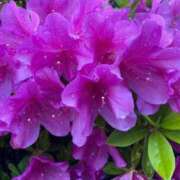 ヒメ日記 2025/05/06 15:48 投稿 うみ One More奥様　八王子店